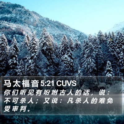 马 太 福 音 5:21 CUVS Bible Verse Image