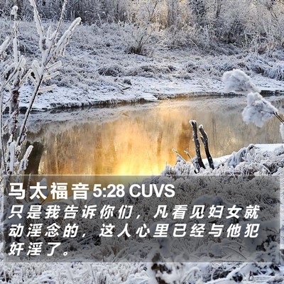 马 太 福 音 5:28 CUVS Bible Verse Image