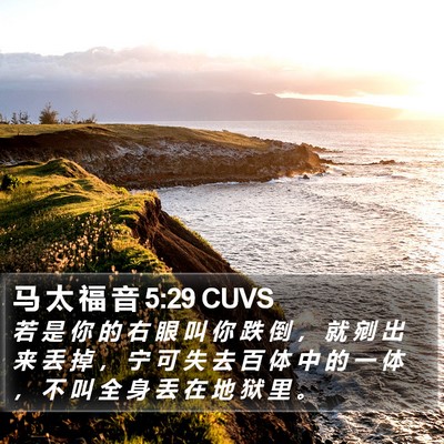 马 太 福 音 5:29 CUVS Bible Verse Image