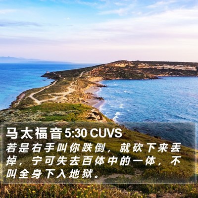 马 太 福 音 5:30 CUVS Bible Verse Image