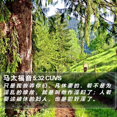马 太 福 音 5:32 CUVS Bible Verse Image