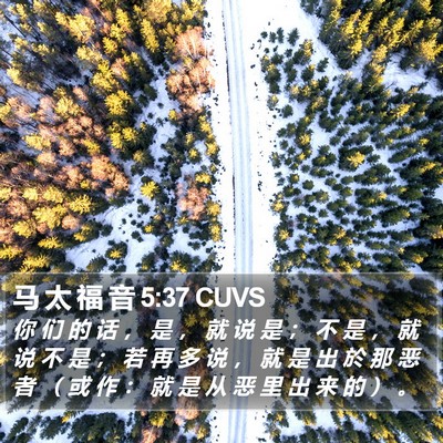 马 太 福 音 5:37 CUVS Bible Verse Image