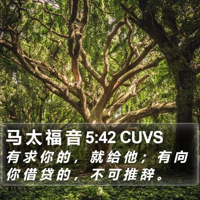 马 太 福 音 5:42 CUVS Bible Verse Image