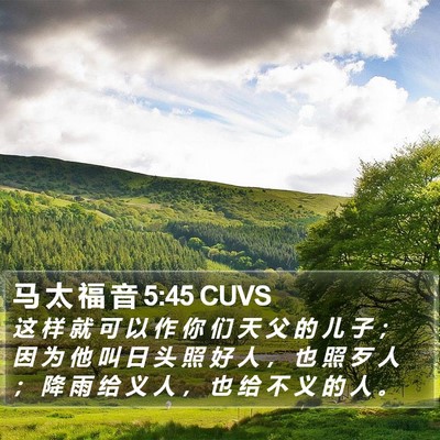 马 太 福 音 5:45 CUVS Bible Verse Image