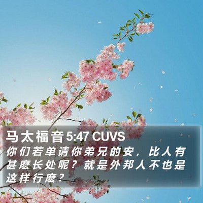 马 太 福 音 5:47 CUVS Bible Verse Image