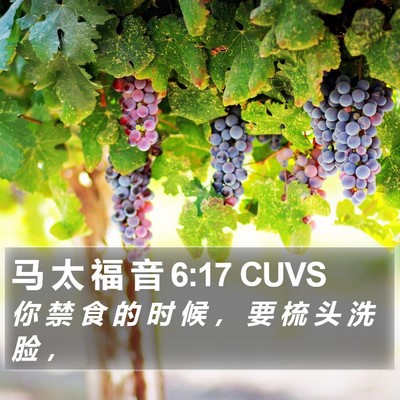 马 太 福 音 6:17 CUVS Bible Verse Image