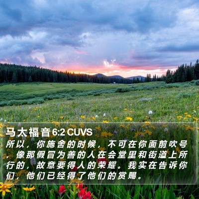 马 太 福 音 6:2 CUVS Bible Verse Image