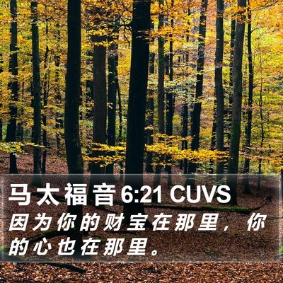 马 太 福 音 6:21 CUVS Bible Verse Image