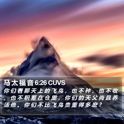 马 太 福 音 6:26 CUVS Bible Verse Image