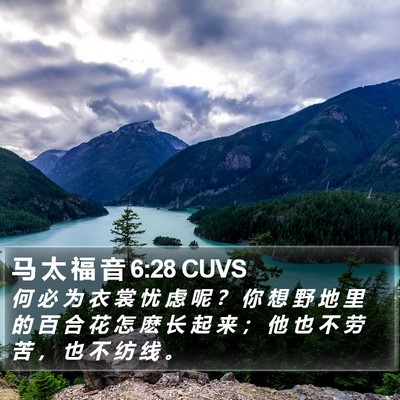 马 太 福 音 6:28 CUVS Bible Verse Image
