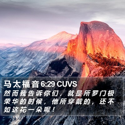 马 太 福 音 6:29 CUVS Bible Verse Image