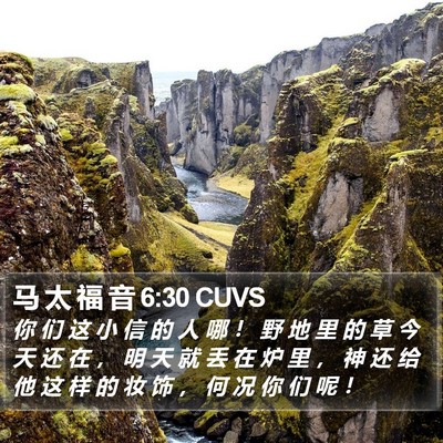 马 太 福 音 6:30 CUVS Bible Verse Image