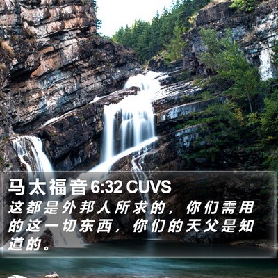 马 太 福 音 6:32 CUVS Bible Verse Image