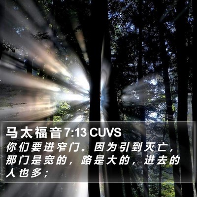 马 太 福 音 7:13 CUVS Bible Verse Image