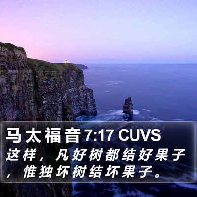 马 太 福 音 7:17 CUVS Bible Verse Image