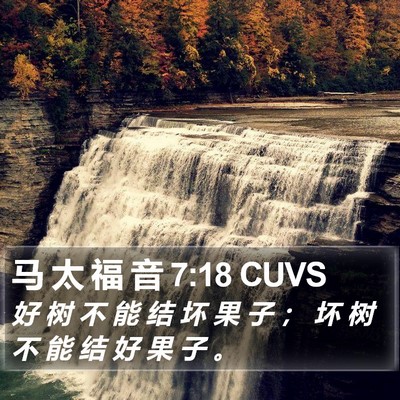 马 太 福 音 7:18 CUVS Bible Verse Image