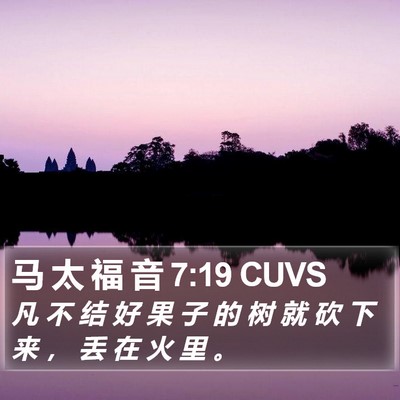 马 太 福 音 7:19 CUVS Bible Verse Image
