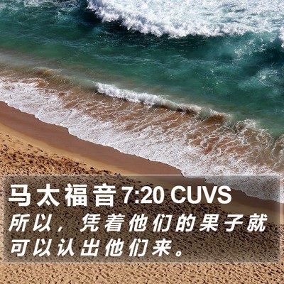 马 太 福 音 7:20 CUVS Bible Verse Image