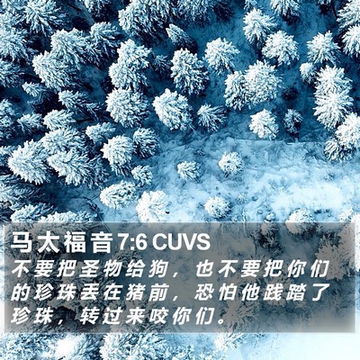 马 太 福 音 7:6 CUVS Bible Verse Image