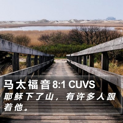 马 太 福 音 8:1 CUVS Bible Verse Image