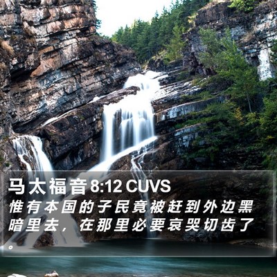 马 太 福 音 8:12 CUVS Bible Verse Image