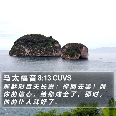 马 太 福 音 8:13 CUVS Bible Verse Image