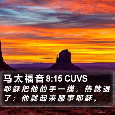 马 太 福 音 8:15 CUVS Bible Verse Image