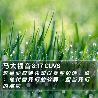 马 太 福 音 8:17 CUVS Bible Verse Image