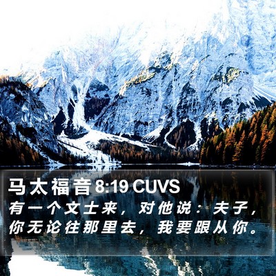 马 太 福 音 8:19 CUVS Bible Verse Image