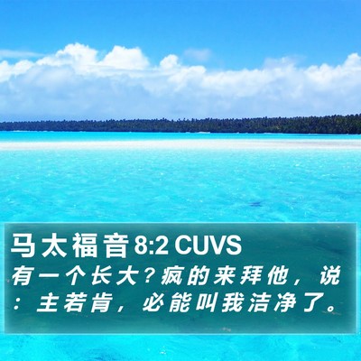 马 太 福 音 8:2 CUVS Bible Verse Image