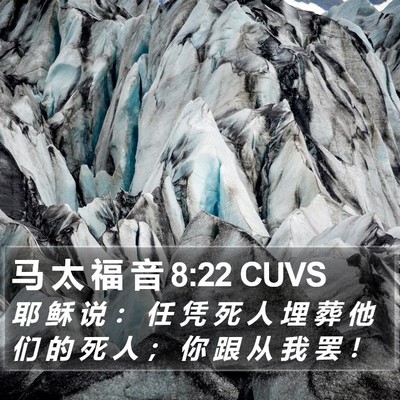 马 太 福 音 8:22 CUVS Bible Verse Image