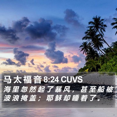 马 太 福 音 8:24 CUVS Bible Verse Image