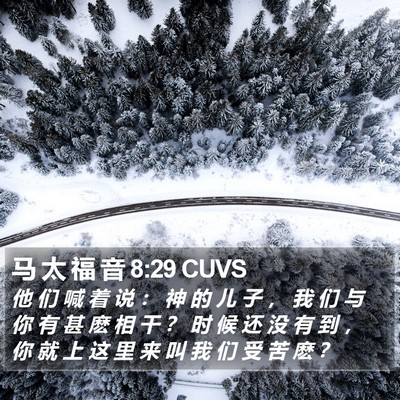 马 太 福 音 8:29 CUVS Bible Verse Image