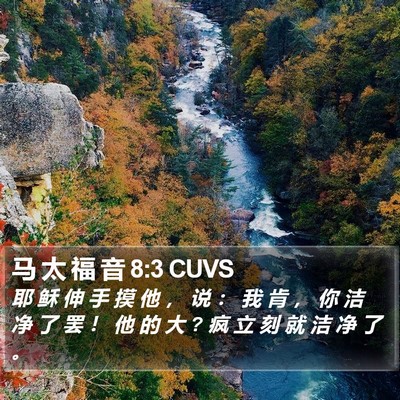 马 太 福 音 8:3 CUVS Bible Verse Image