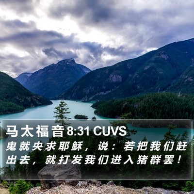 马 太 福 音 8:31 CUVS Bible Verse Image