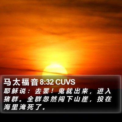 马 太 福 音 8:32 CUVS Bible Verse Image
