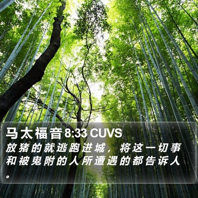 马 太 福 音 8:33 CUVS Bible Verse Image