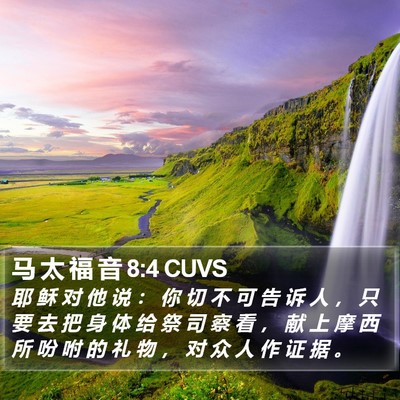 马 太 福 音 8:4 CUVS Bible Verse Image