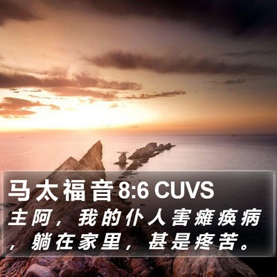马 太 福 音 8:6 CUVS Bible Verse Image