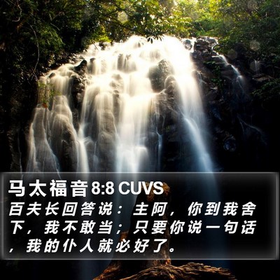 马 太 福 音 8:8 CUVS Bible Verse Image