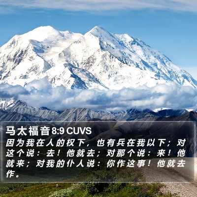 马 太 福 音 8:9 CUVS Bible Verse Image