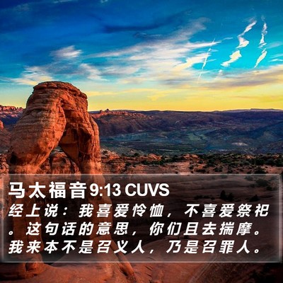 马 太 福 音 9:13 CUVS Bible Verse Image