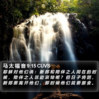 马 太 福 音 9:15 CUVS Bible Verse Image