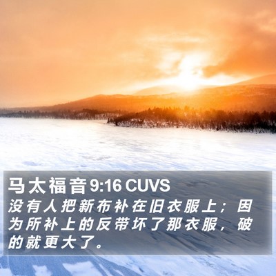 马 太 福 音 9:16 CUVS Bible Verse Image