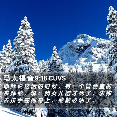 马 太 福 音 9:18 CUVS Bible Verse Image