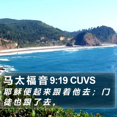 马 太 福 音 9:19 CUVS Bible Verse Image