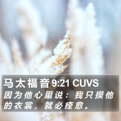 马 太 福 音 9:21 CUVS Bible Verse Image