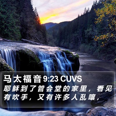 马 太 福 音 9:23 CUVS Bible Verse Image