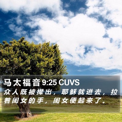 马 太 福 音 9:25 CUVS Bible Verse Image