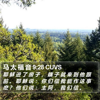 马 太 福 音 9:28 CUVS Bible Verse Image
